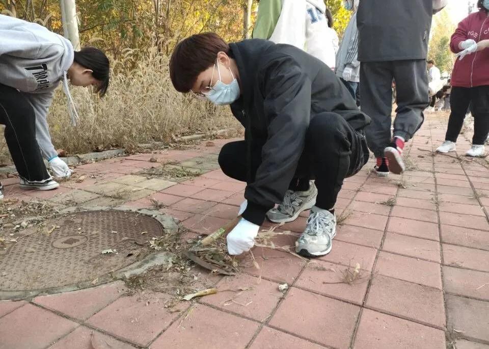 图片8.jpg 图片8.jpg