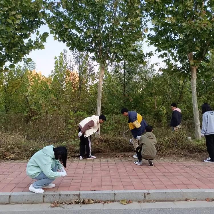 图片3.jpg 图片3.jpg