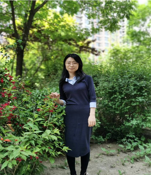 图片1.png 图片1.png